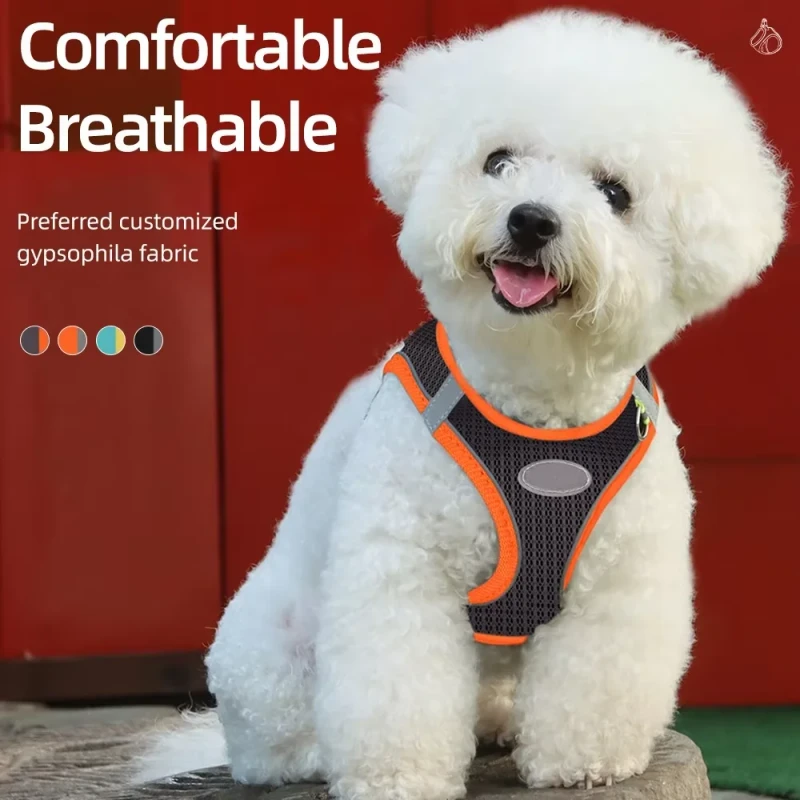 Fashionable Breathable Pet Harness Set Cute Reflective Collars & Leashes for Dogs & Cats Simple Design