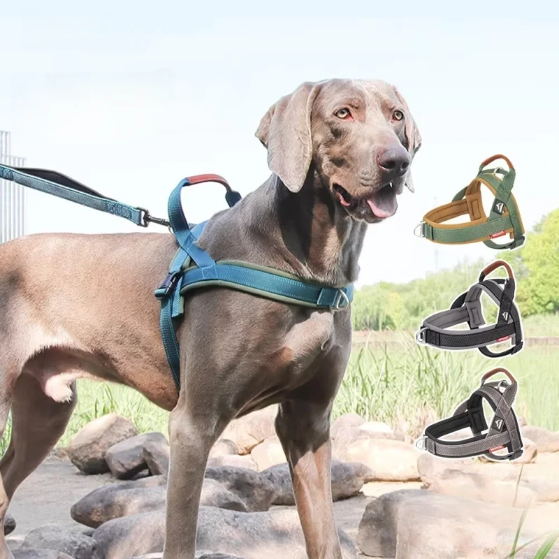 Fashionable Dog Harness Pet Harness Leash Set Breathable Nylon Reflective Saddle Chest Strap Anti-Escape Collar Handle Colorful