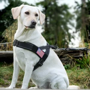 Fashionable Dog Harness Pet Harness Leash Set Breathable Nylon Reflective Saddle Chest Strap Anti Escape Collar Handle Straddles