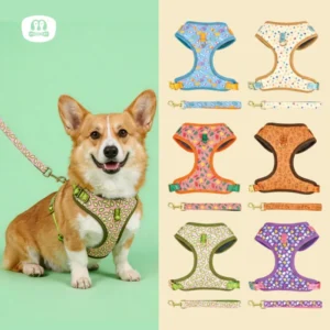 Fashionable Full Set for Small Animals Cute Print Colorful Design Dog Leash Harness Polyester Alloy Ribbons for