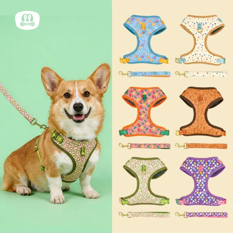 Fashionable Full Set for Small Animals Cute Print Colorful Design Dog Leash Harness Polyester Alloy Ribbons for