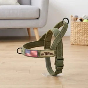 Fashionable Luxury Sport Nylon Pet Harness Quick Release Adjustable Dog Harness Neoprene Mesh Ribbons Easy to Carry Personalized
