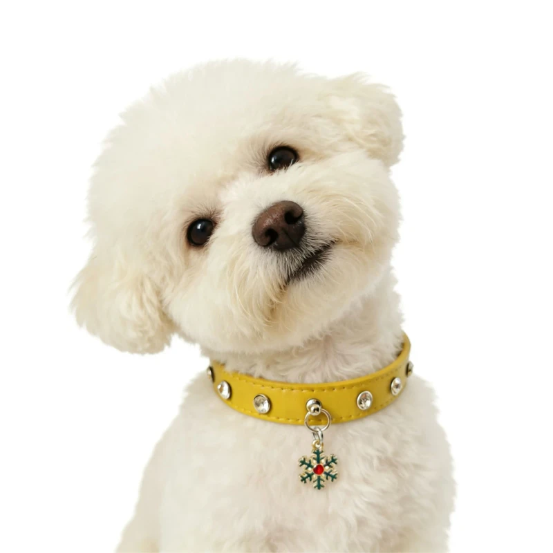 Fashionable Modern PU Solid Pattern Pet Harnesses Leashes Collars for Cats Dogs Cross border Pet Supplies