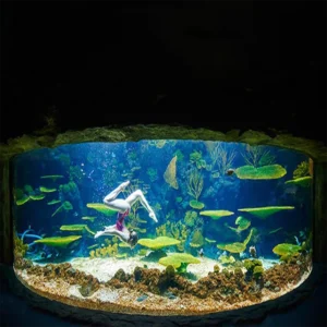 Fish Ornamental Fish Bowl Aquarium Koi Decorative Tank Fish