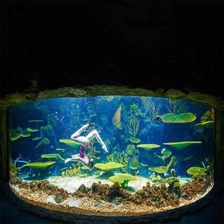 Fish Ornamental Fish Bowl Aquarium Koi Decorative Tank Fish