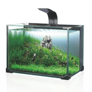 Fish Tank Aquarium Kit with Accessories LED Lighting and Filtration Included