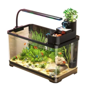 Fish Tank Desktop Square Acrylic Aquarium with LED Filter Decal Kit for Home Office