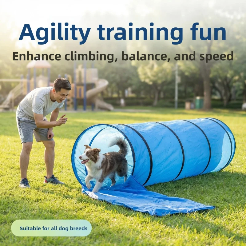 Foldable Eco-Friendly Dog Agility Training Tunnel Plastic Material Interactive Indoor Outdoor Pet Toy with Crawling Channel