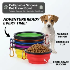 Foldable Pet Bowl Customized Logo Silicone Collapsible Dog Bowls Folding Pet Bowls Travel