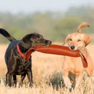 For Training Dog Bite Stick Grinding Interactive Biting Target Dog Training Pet Supplies Model XD76