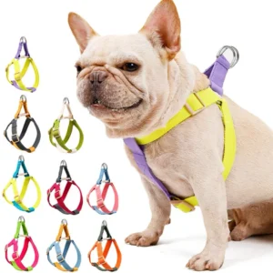 Foreign Trade New Manufacturers Direct Leash Chest Strap Walking Dog Rope Cotton Color Pet Harnesses and Leashes