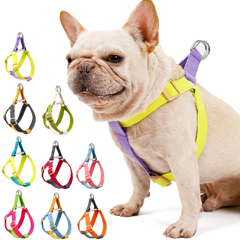 Foreign Trade New Manufacturers Direct Leash Chest Strap Walking Dog Rope Cotton Color Pet Harnesses and Leashes