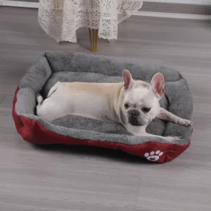 Four Seasons Universal PP Cotton Pet Bed Square Dog Bed in Candy Colors Teddy Pomeranian Dog Mat Manufacturer