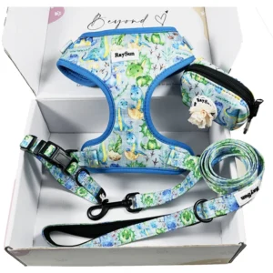 Free Sample Designers Durable Dog Harness and Leash Pet Collar Custom Small Strong Harness and Leash Set for Large Dog