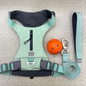 Front Range Pet Dog Harness Dual Leash Clips Adjustable Lightweight Walking Training Vest for All Dogs