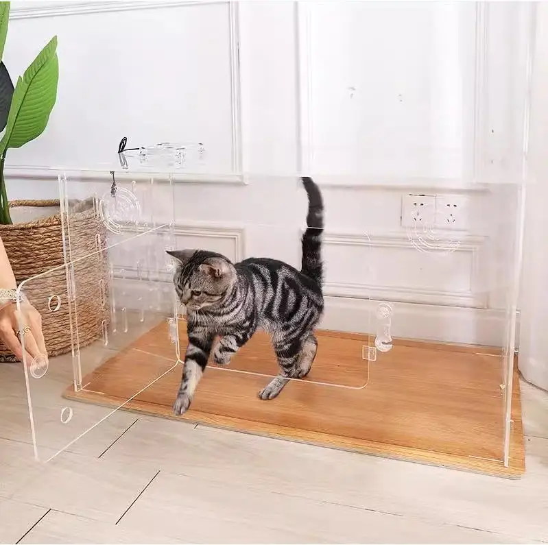 Full Transparent Acrylic Professional Race Cat Dog Pet Cage with Quick Disassembly Stall for Pet Display