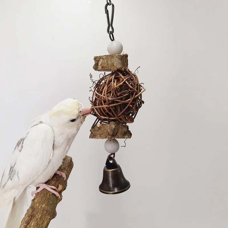 Funny Flying Parrot Bird Small Animal Fruit Large Toy Accessories