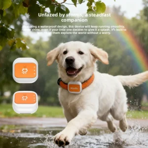 G01 Smart GPS Pet Tracker Waterproof IP67 Real time Location Finder Pet Collar with App Control Geo fence Security Alarm