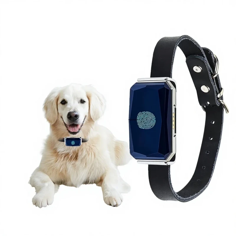 G12 Wearable Anti-Lost Pet Collar Intelligent Remote Positioning GPS Tracker Portable Real-Time Health Monitoring for Cats Dogs