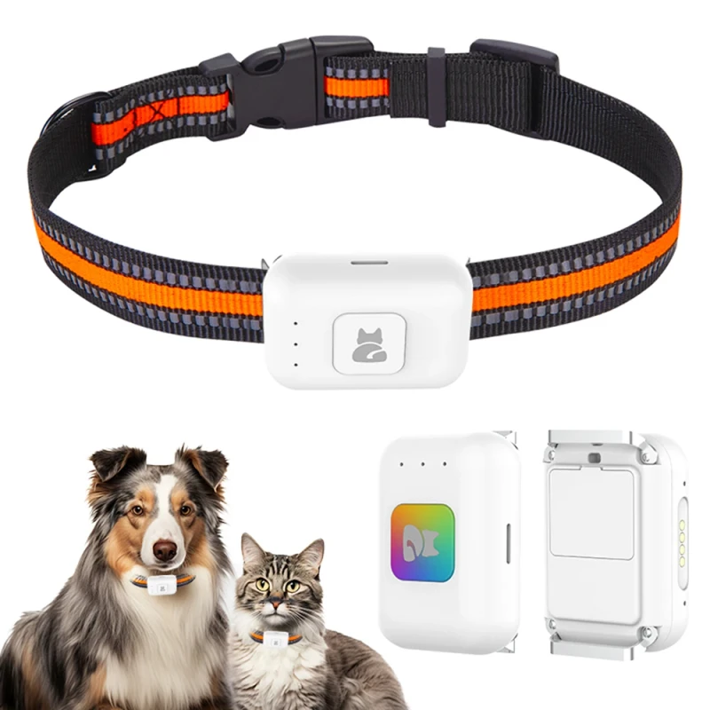 G63 4G Pet GPS Tracker for Cats Dogs With LED Lights Real Time APP Remote Tracking Geo-fence Alert Pet Activity Monitoring