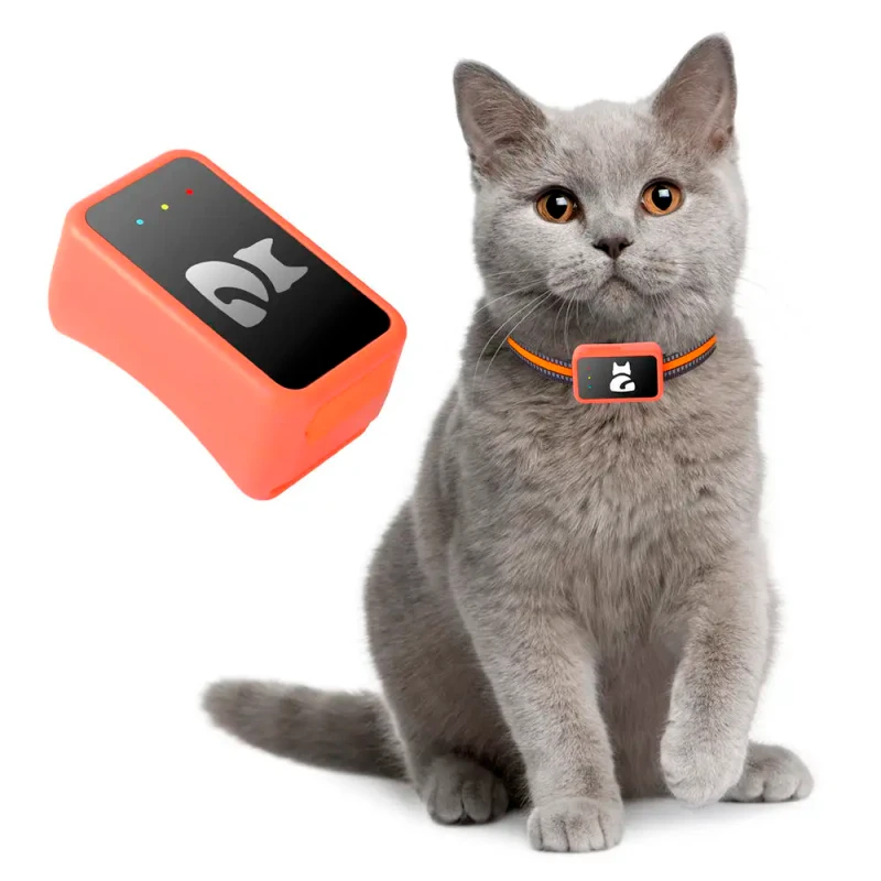 G68P 4G Durable Pet GPS Tracker for Dog and Cat Activity Monitoring with Free APP No Subscription No Distance Restriction