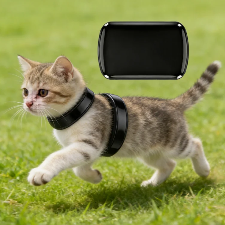 GPS 4G Chinese Factory Smart Pet Tracking Microchip Durable Pet Tracking Alarm Track Go for Pet