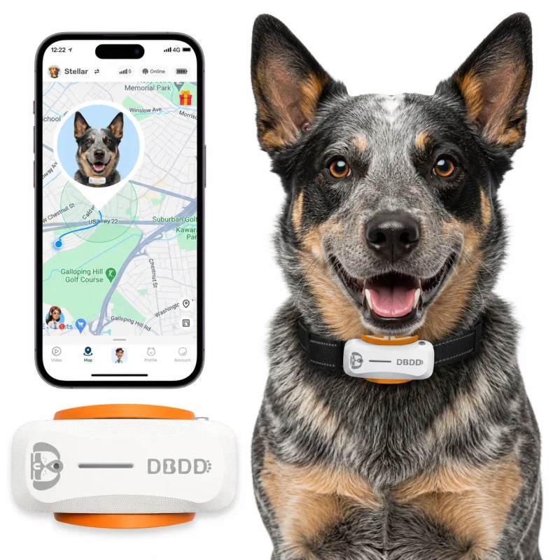 GPS Dog Tracker Health Monitor Real-Time Location Geofence Alerts Activity Sleep Monitor AI Vet Assistant IP67 Waterproof Plastic