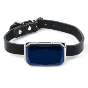 GPS Pet Tracker Plastic Waterproof Collar Electronic Fence for Dogs Pet Locator App Control