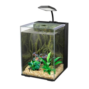 Glass Aquarium Kit with Decorative Background Panel Fish Tank Set for Home Decoration