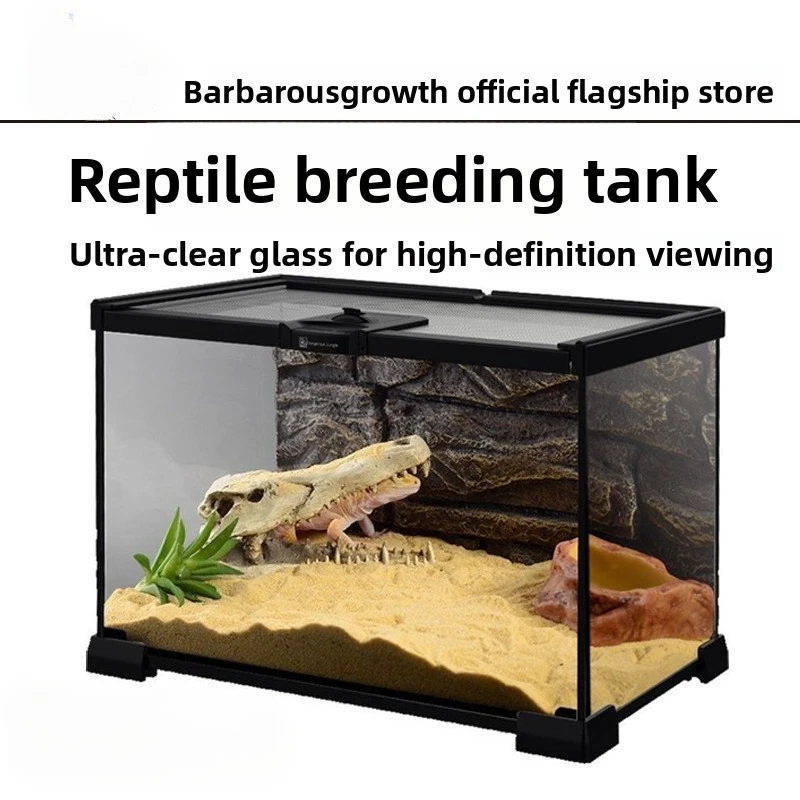 Glass Reptile Terrarium Foldable Rainforest Style Enclosure for Fish Geckos Turtles Spiders Landscaping Display