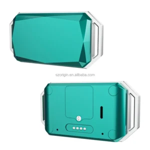 Global G58 IP67 Waterproof Pets 4G GPS Tracker WiFi Fitness Smart Collar Health Monitoring Dog Tracking Locator Free 365GPS Web