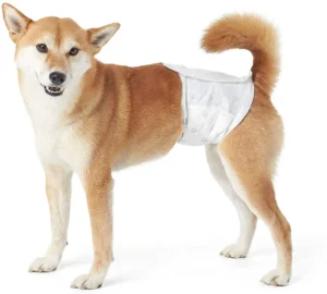 Global Top seller Ultra Soft and Dry Disposable Pet Diapers with High Absorption for Dogs
