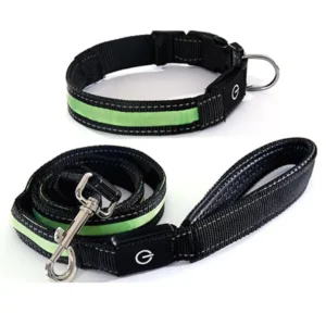 Glowing LED Dog Leash USB Rechargeable Flashing Pet Leash 3 Flash Modes Nylon Light up Dog Lead