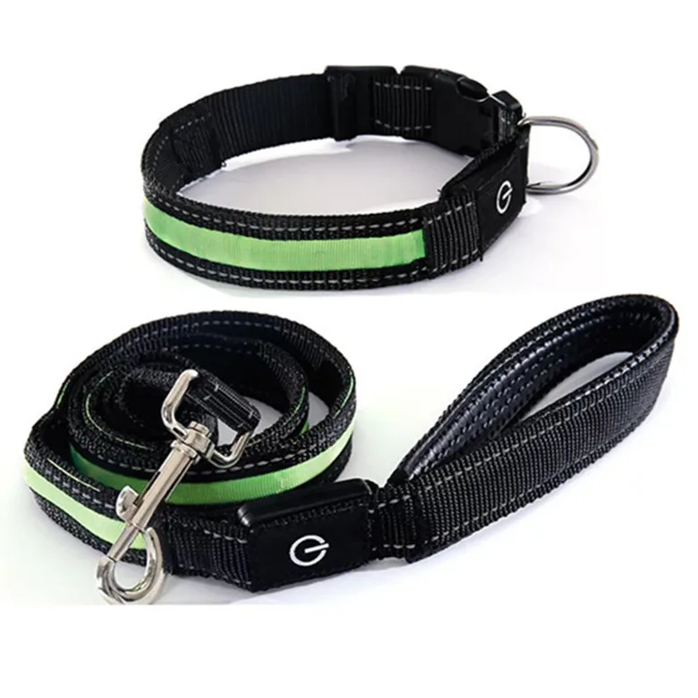 Glowing LED Dog Leash USB Rechargeable Flashing Pet Leash 3 Flash Modes Nylon Light up Dog Lead