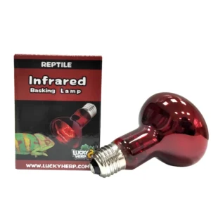 Good Performance Reptile Light Metal Halide Heat Lamp Pet Products for Reptile Amphibian Supplies