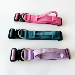 Good Quality New Style Adjustable Solid Color Custom Luxury Dog Collar with Nylon/Polyester Soft Waterproof Design