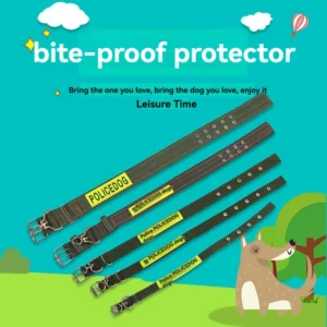 Green Dog Collar Solid Pattern Padded Pet Supply with Ribbons Adjustable Leash for Medium-Sized Dogs