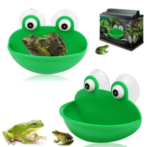Green Frog Style Reptile Feed Bowl & Resting Platform for Amphibians