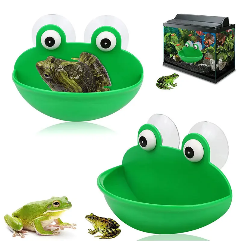 Green Frog Style Reptile Feed Bowl & Resting Platform for Amphibians