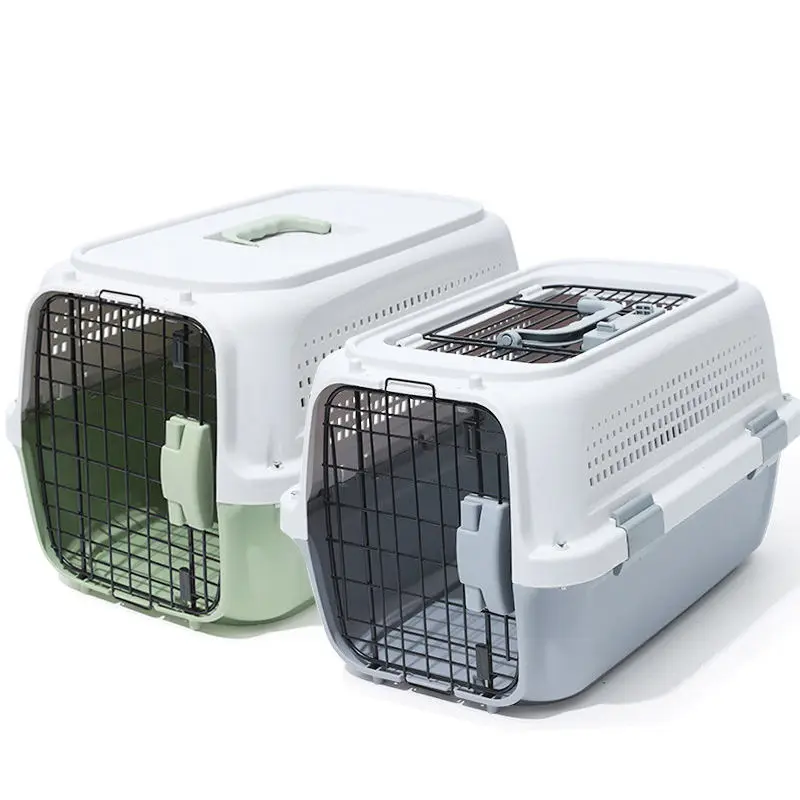 Green Purple Airline Approved Pet Travel Carrier with Simple Modern Style Metal Door PP Material Convenient Pet Supplies