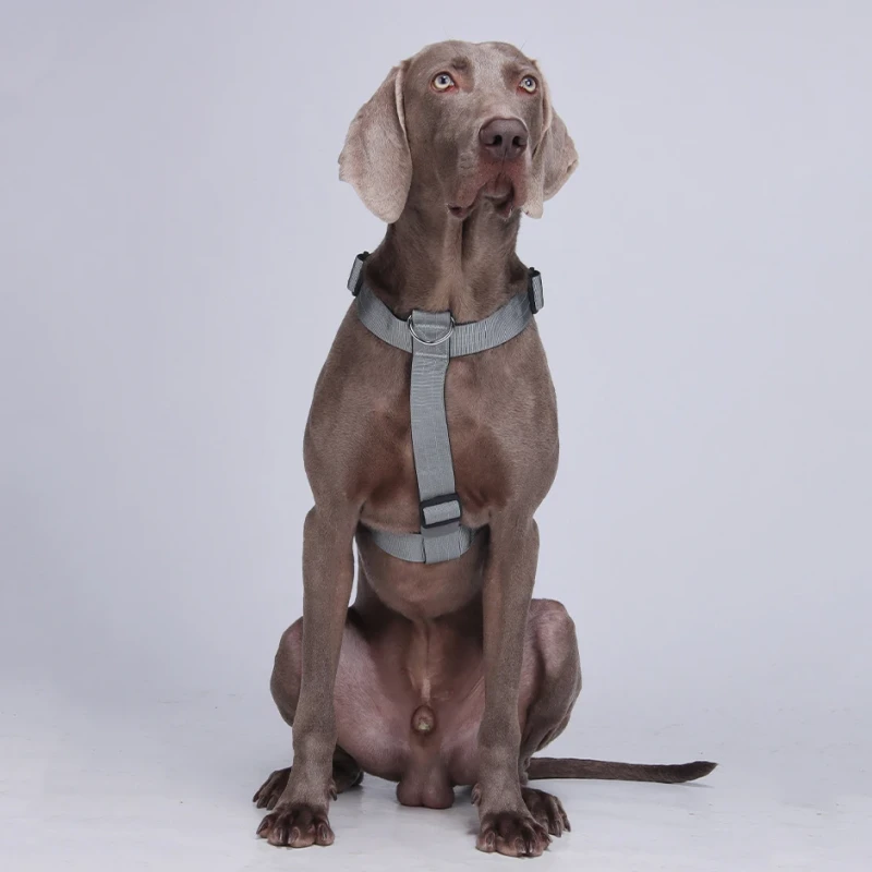 H Type Luxury Personalized Pet Vest Chest Harness Dog Walking Harness Explosion Proof Adjustable Breathable Alloy Harness