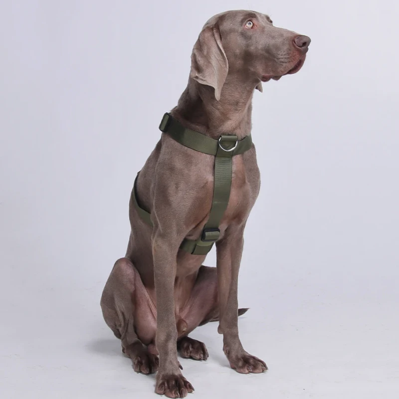 H Type No Pull Pet Dog Harness Adjustable Nylon Harness with Soft Padding Heavy Duty Puppy Harness Chest Vest