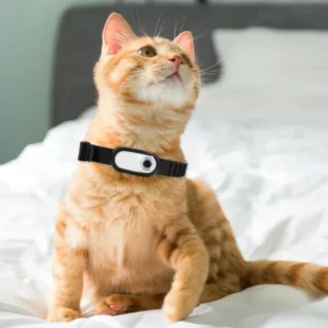 HD 1080P Portable Outdoor Pet Smart Sport GPS Tracker 4G Network Video Recording SD Card Android iOS Compatible Dog Cat Collar