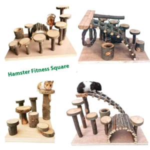 Hamster Small Animal Supplies Apple Wooden Fence Ladder Swing Tree Branch Toy Wooden Platform Molar Landscaping Combination