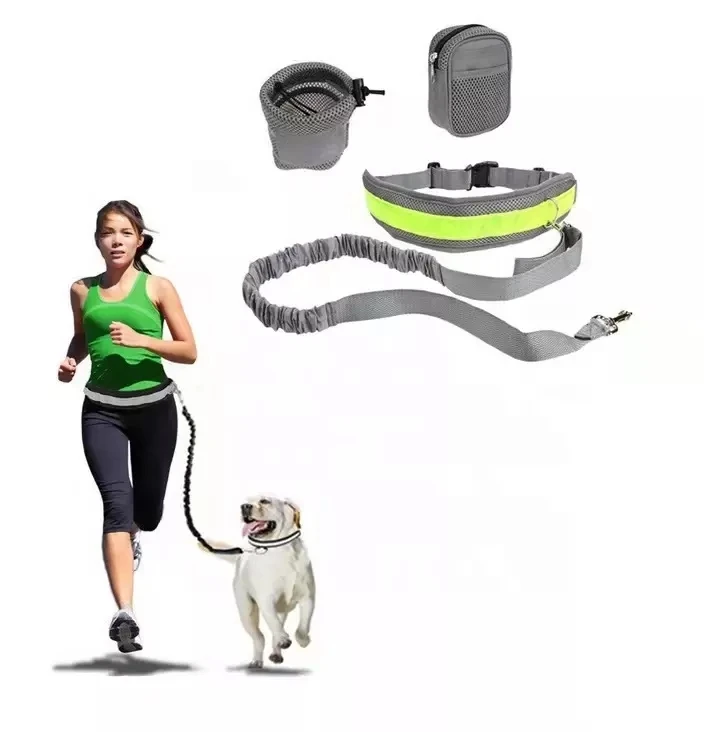 Hand Free Dog Leash for Medium & Large Dogs Training Walking Jogging & Running Your Pet Professional Harness Reflective Stitches