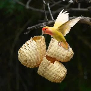 Handmade Bird Nest Bamboo Rustic Style Parrot Nest Pet Bed with Hook for Outdoor Decorations