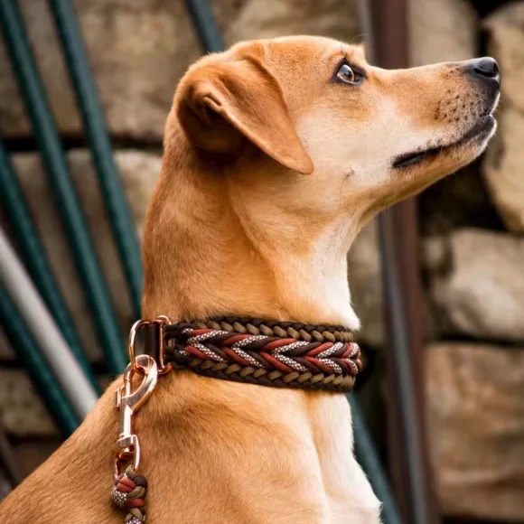 Handmade Braided Paracord Dog Collar Custom Adjustable Tactical Pet Collar Heavy Duty Nylon Rope Dog Collar for Dogs