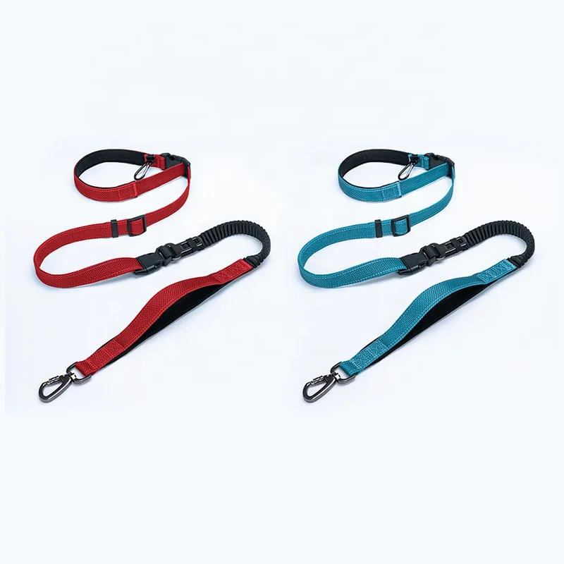 Hands Free Dog Leash Pet Harness Adjustable Bungee Dog Leash Double Handle for Walking Retractable Custom Logo Adjustable