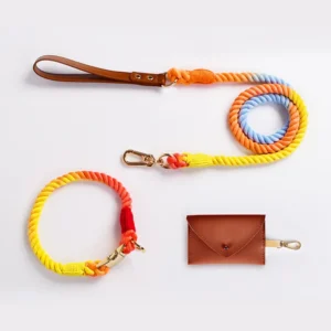 Handwoven Eco friendly Cotton Polyester Blend Metal Colorful Gradient Buckle Closure Pet Collars Dog Leashes Harnesses