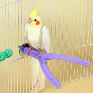 Hanging Colorful Resin Climbing Toy Stand for Birds Rotatable Perch for Parrots Durable Bird Supplies by Chongdatiao